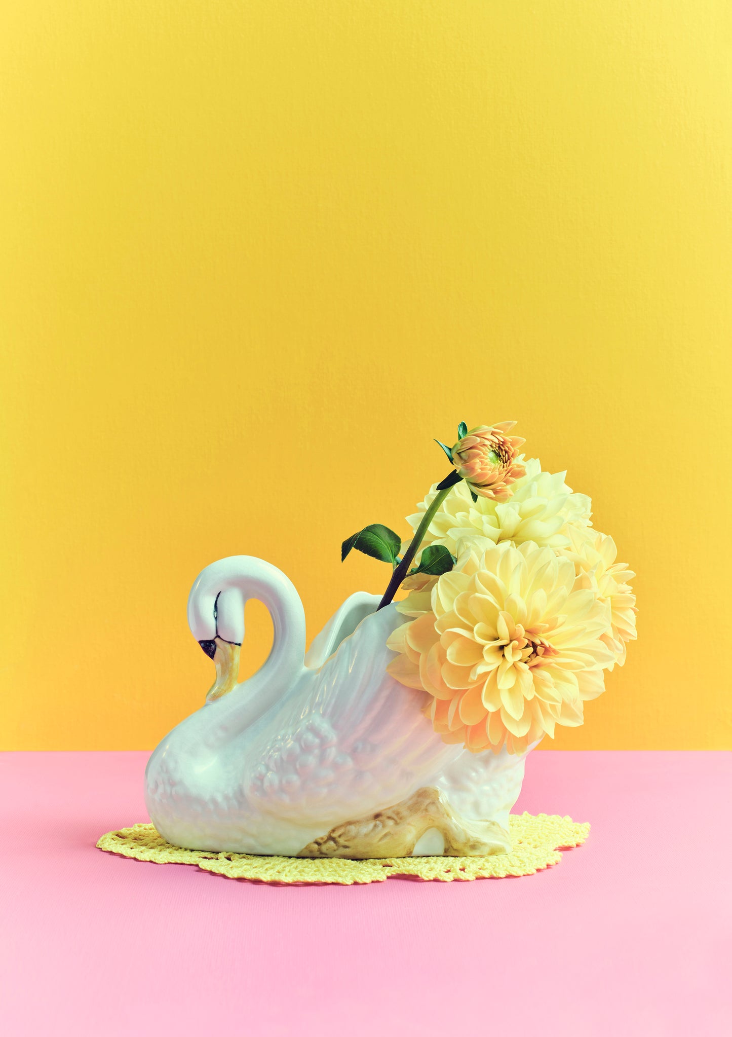 "Nana's house, swan planter" giclée photo print