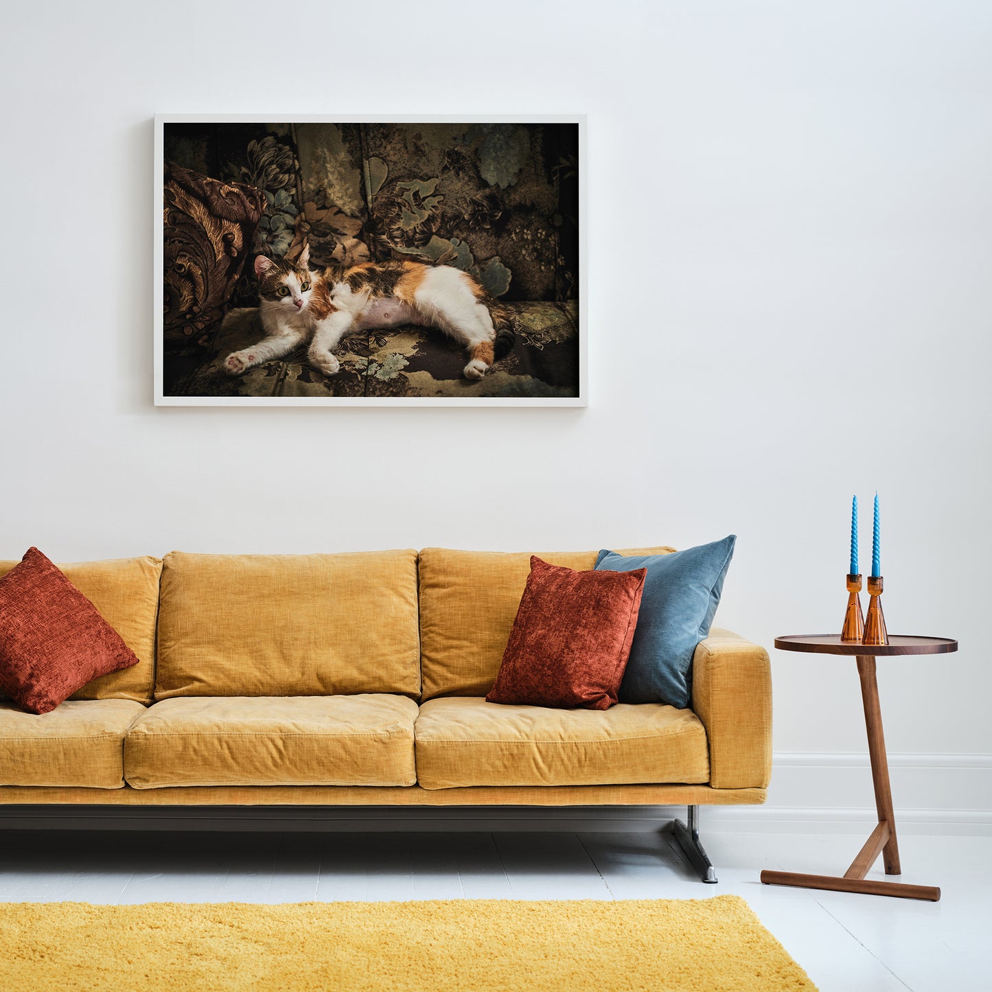 "Nana's cat" giclée photo print