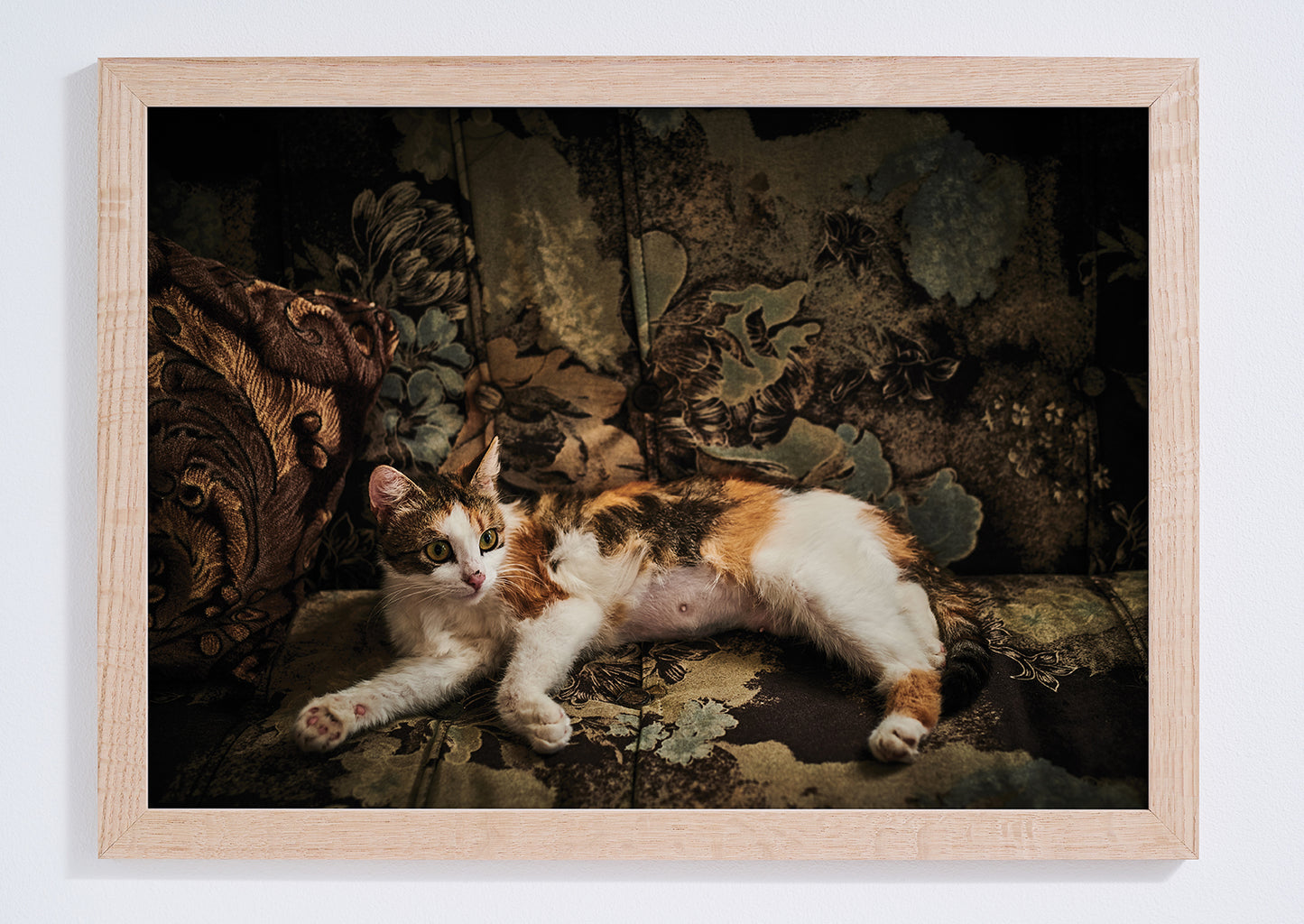 "Nana's cat" giclée photo print