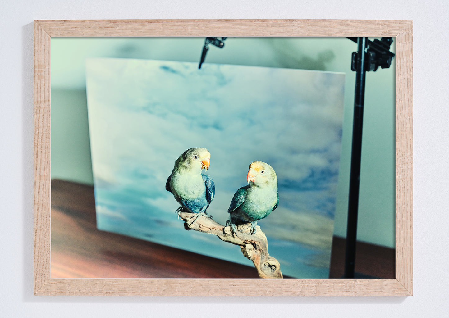 "The Lovebirds" giclée photo print