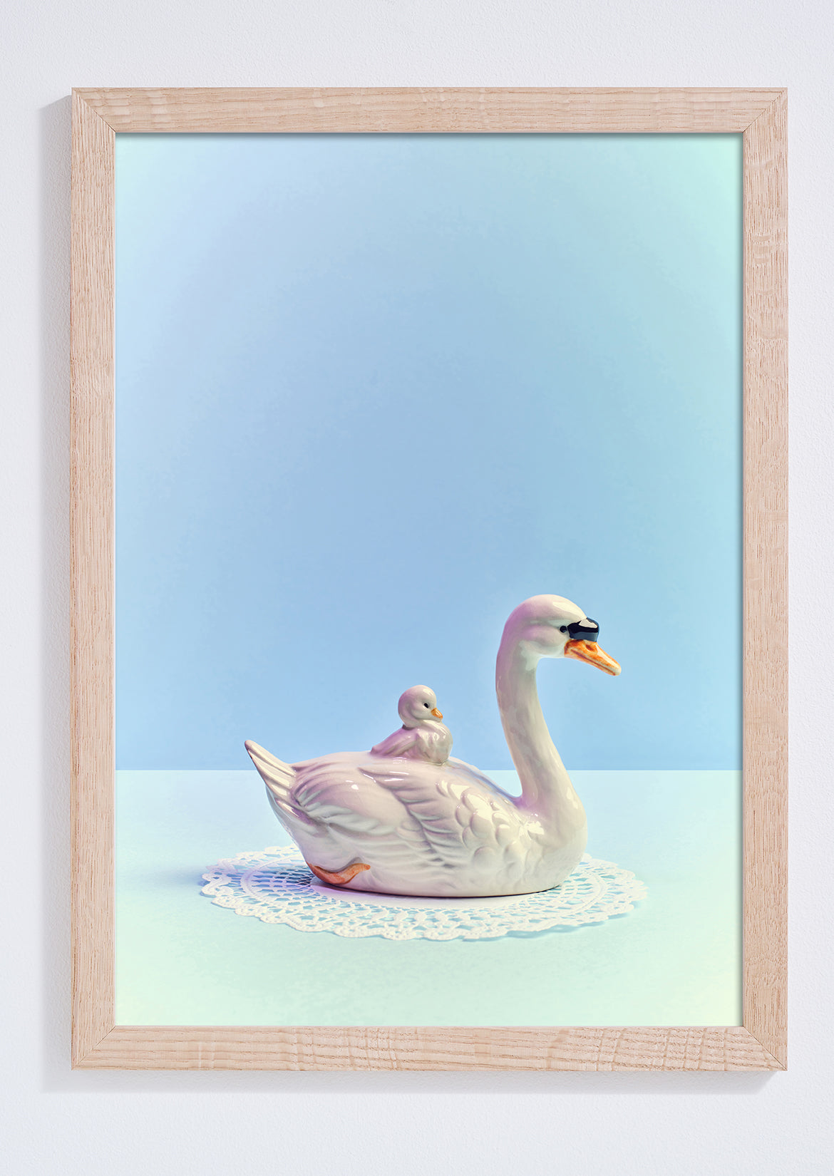 "Baby swan, blue mood" giclée photo print