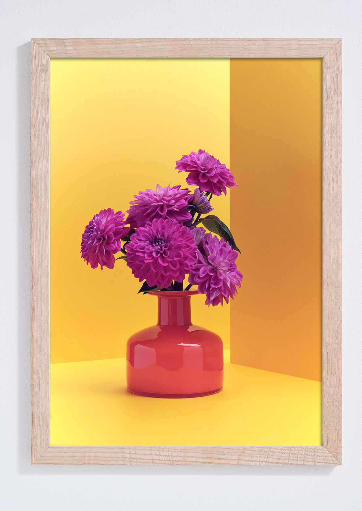 "Clash of the Dahlias, yellow" giclée photo print