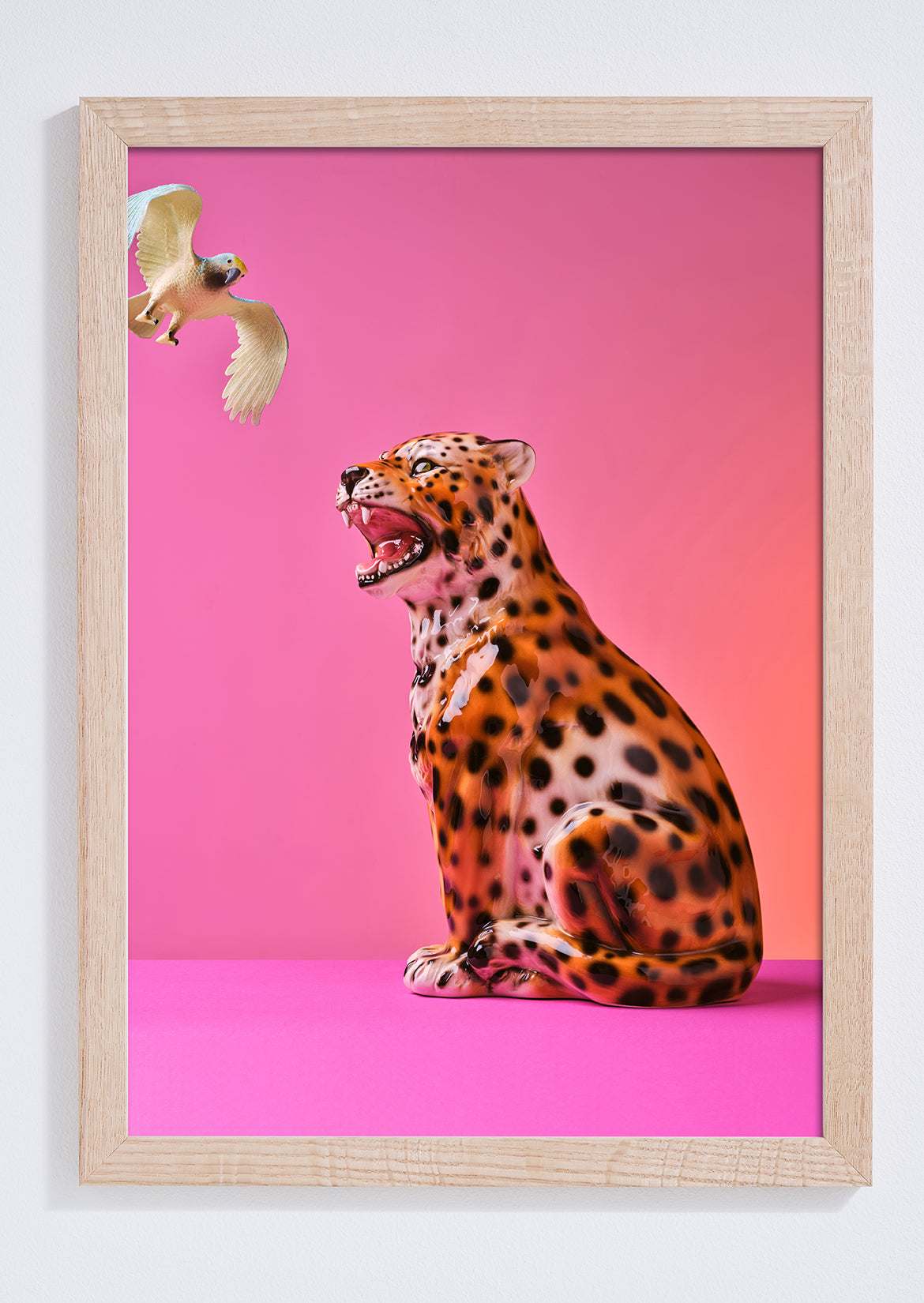 "Kitty wants to play, bird" giclée photo print