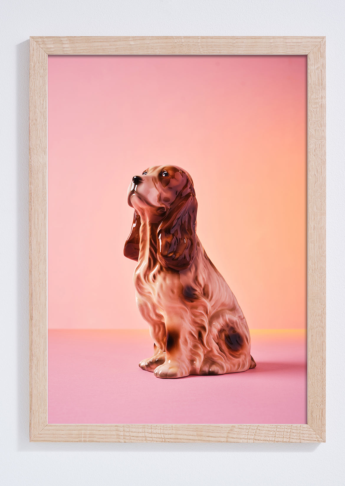 "Pink Crush Spaniel" Photo Print