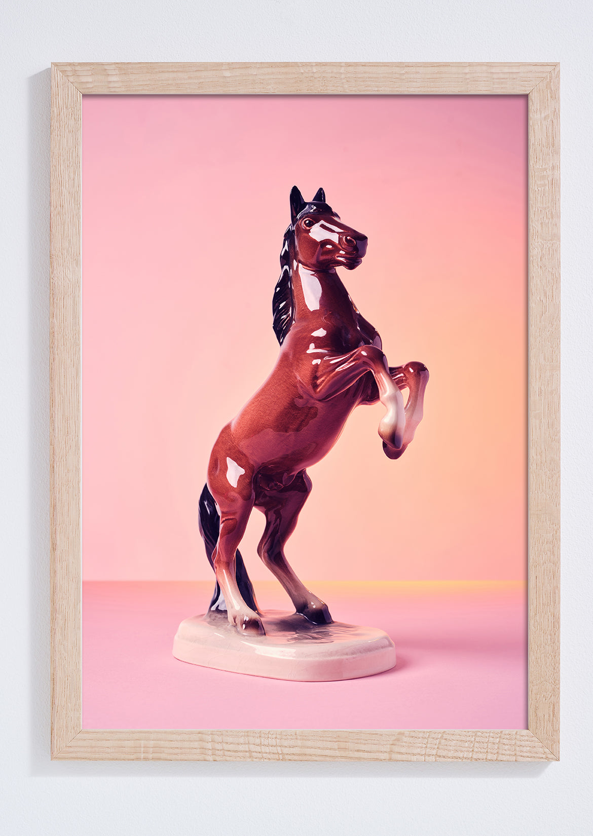 "Pink Crush Stallion" Photo Print