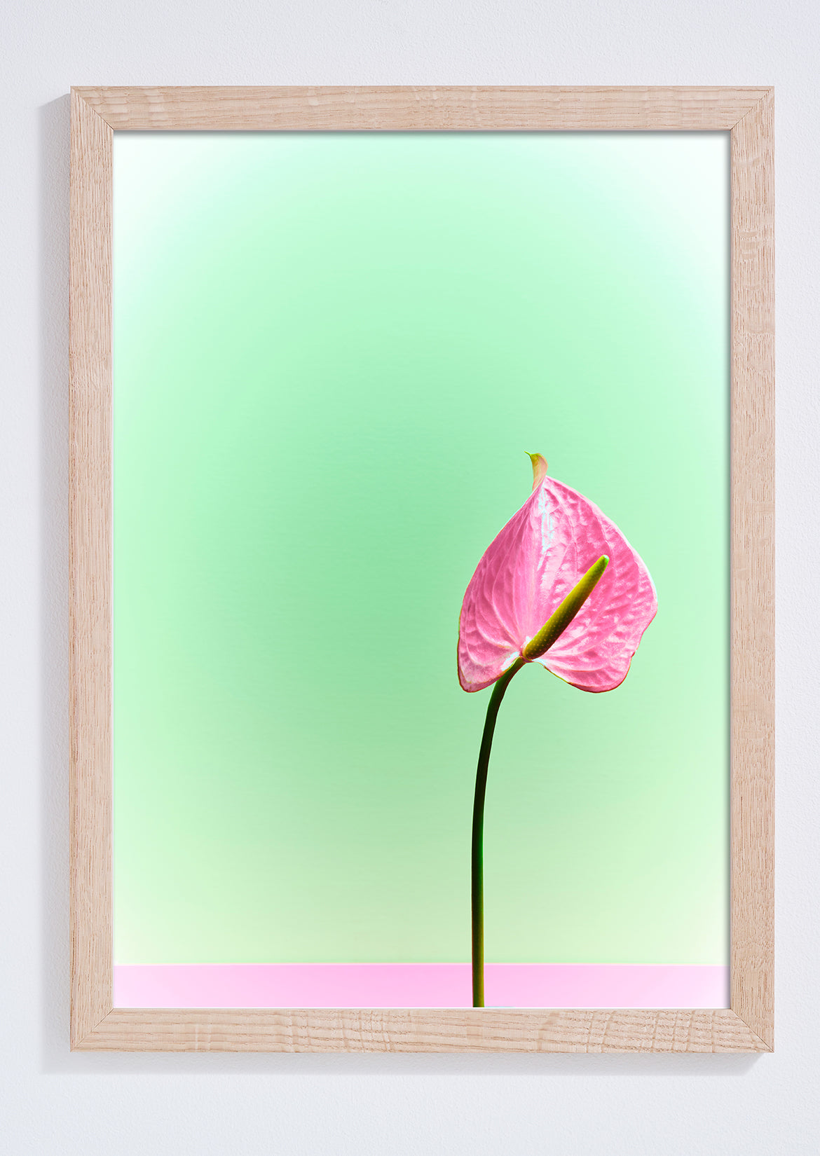 "Signature peace lily" giclée photo print