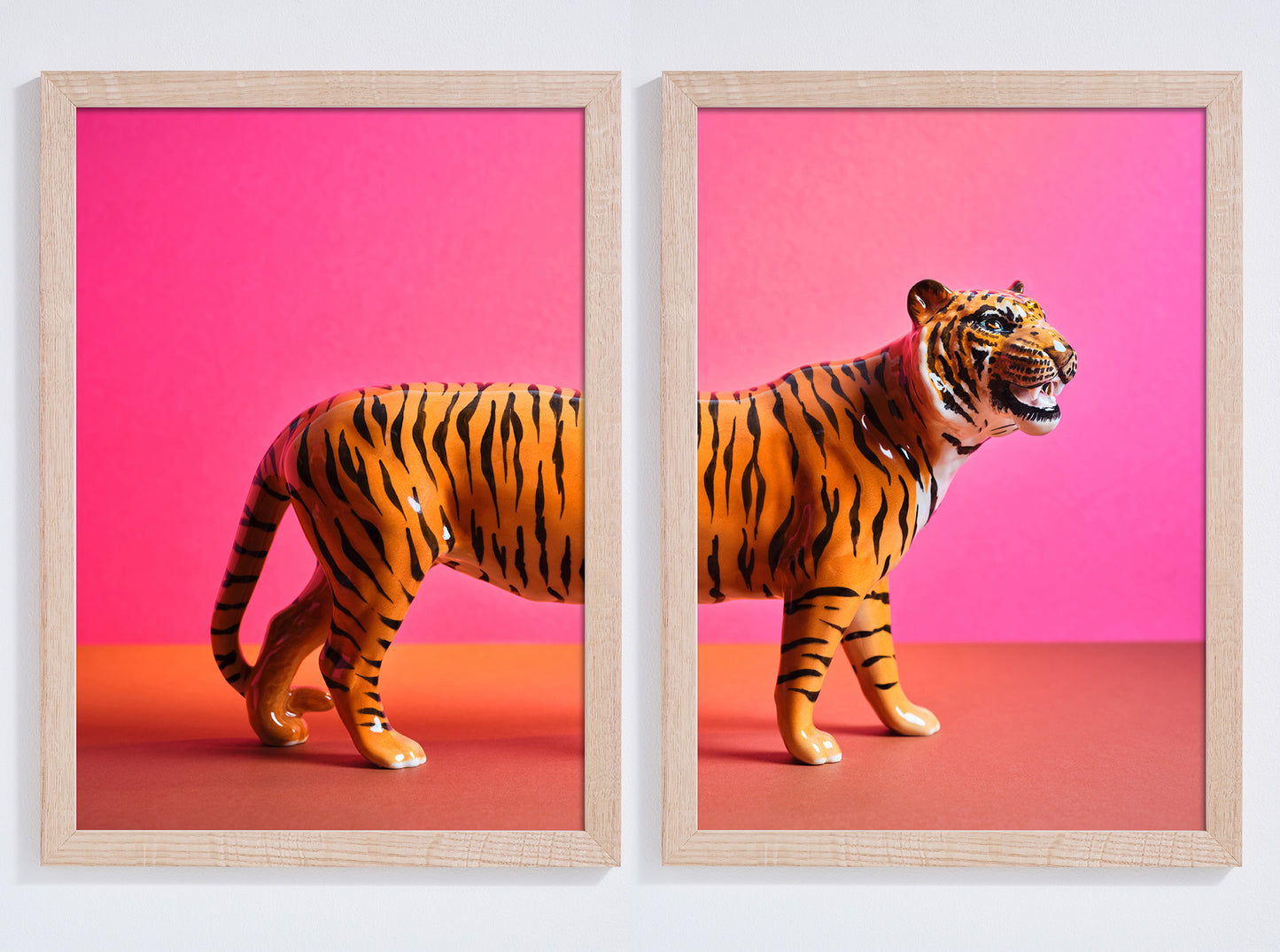 "Tiger split, pink" pair of giclée photo prints