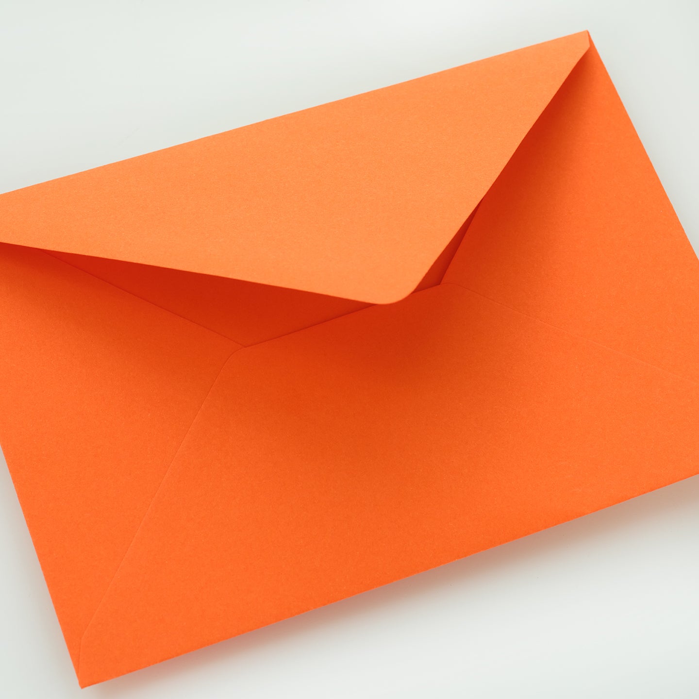 Wonderland Walkies Puppy Dog Christmas Card