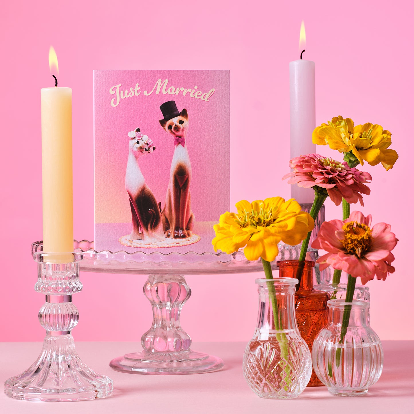 Just Married Cats Greetings Card