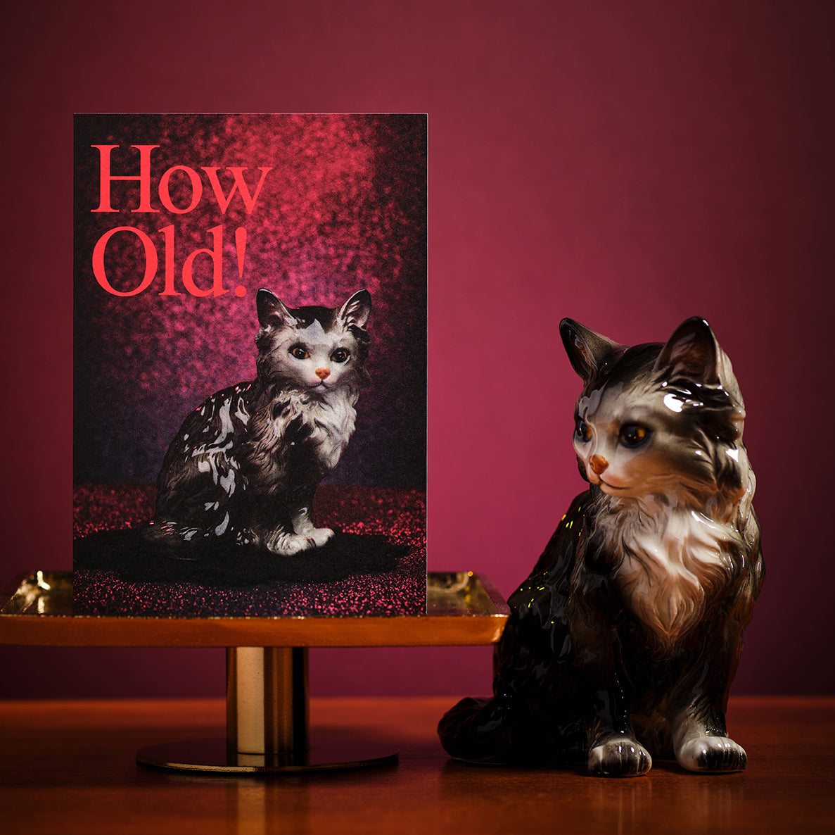 How Old,Shocked Cat Greetings Card