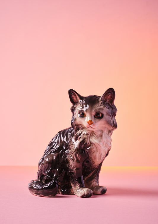 "Pink Crush Kitten" Photo Print