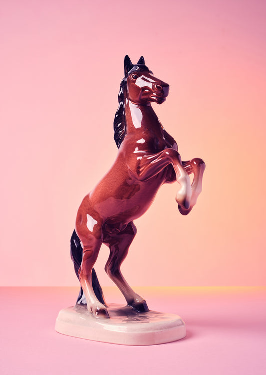 "Pink Crush Stallion" Photo Print