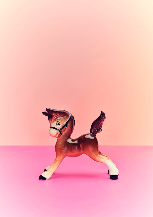 "Playful foal" giclée photo print