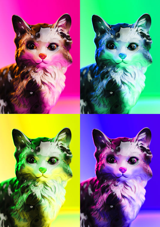 Pop Cat Photo Print