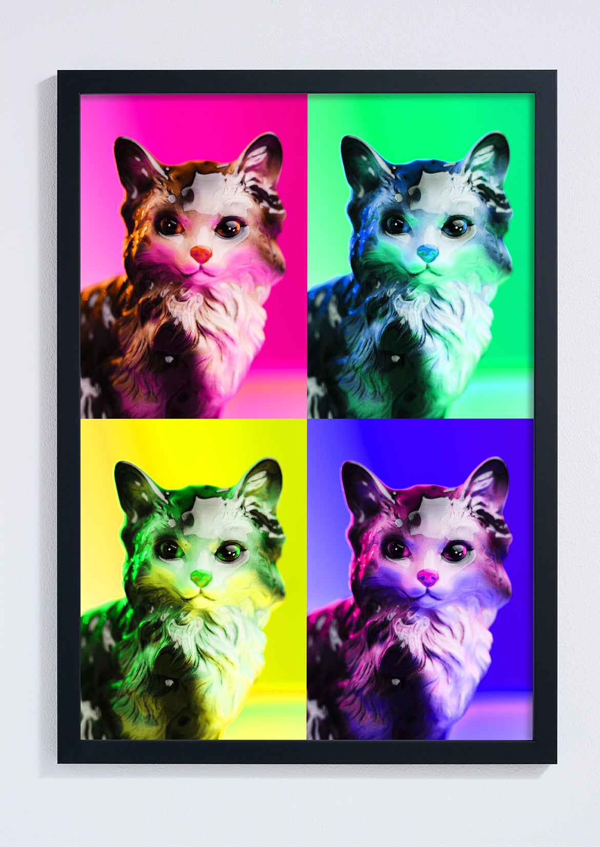 Pop Cat Photo Print