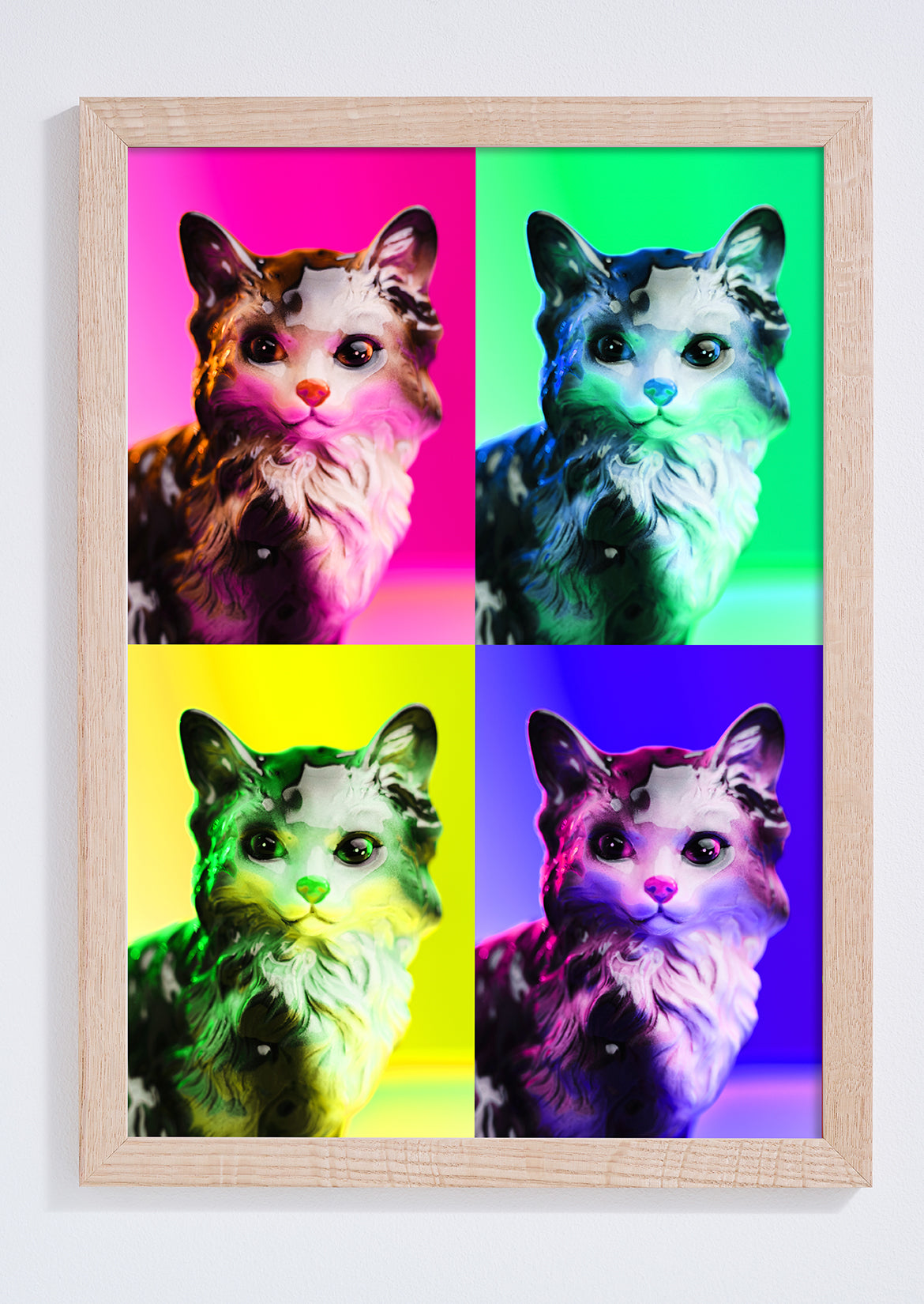Pop Cat Photo Print