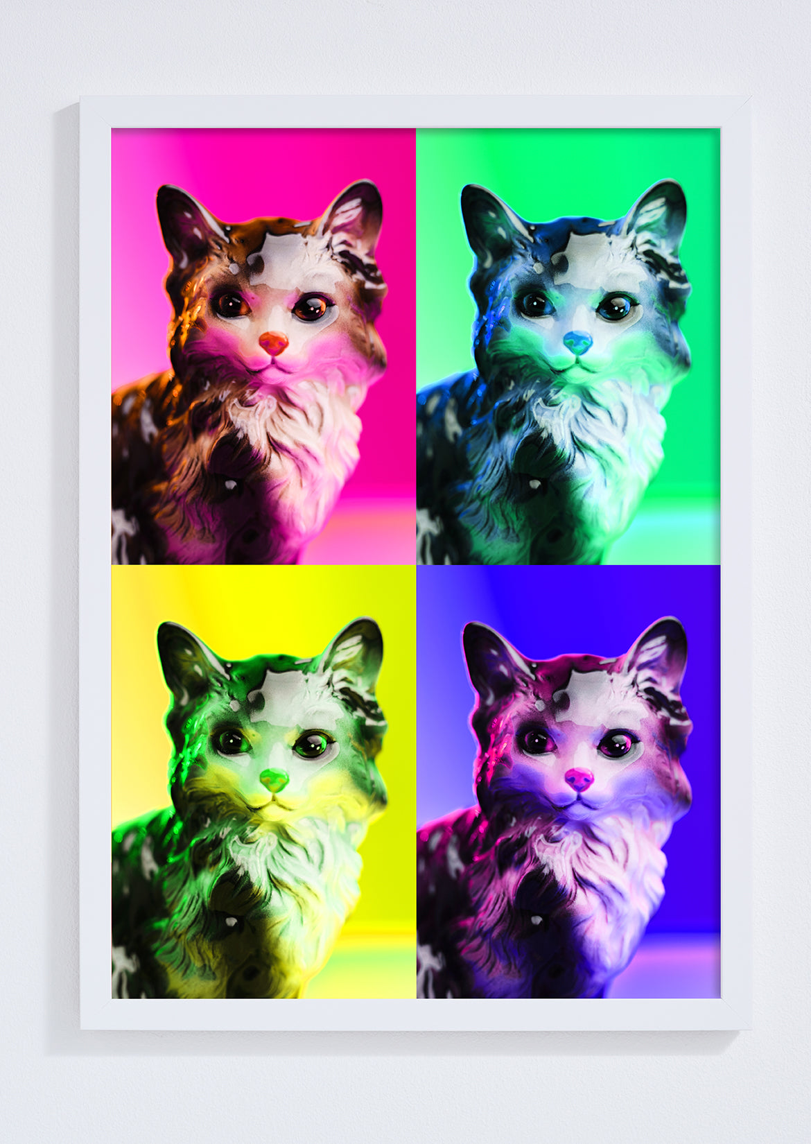 Pop Cat Photo Print