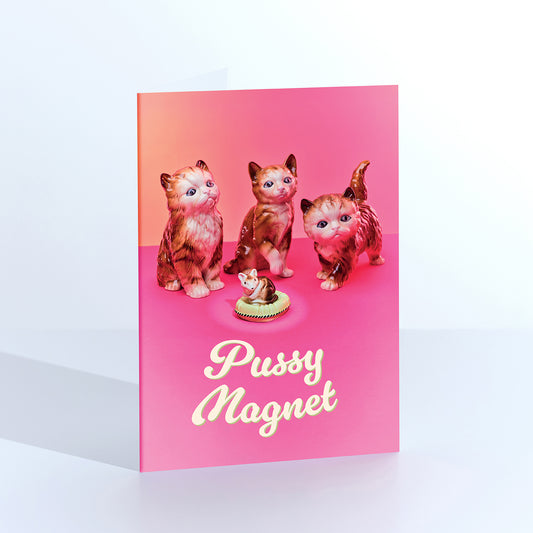Pussy Magnet Mouse with Cats Greetings Card