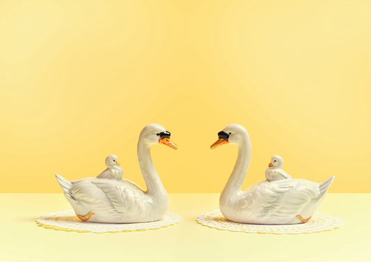 "Reflected swans, yellow mood" giclée photo print