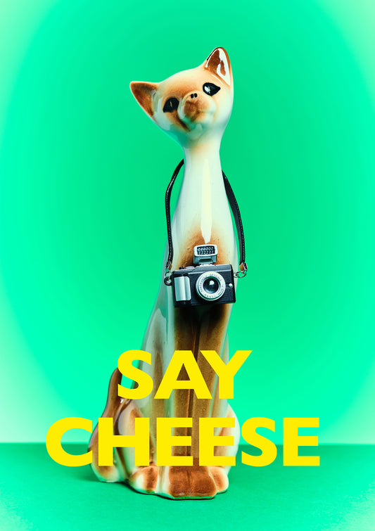 Say Cheese Photographer Cat Photo Print