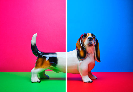 "Sausage split bright" pair of giclée photo prints