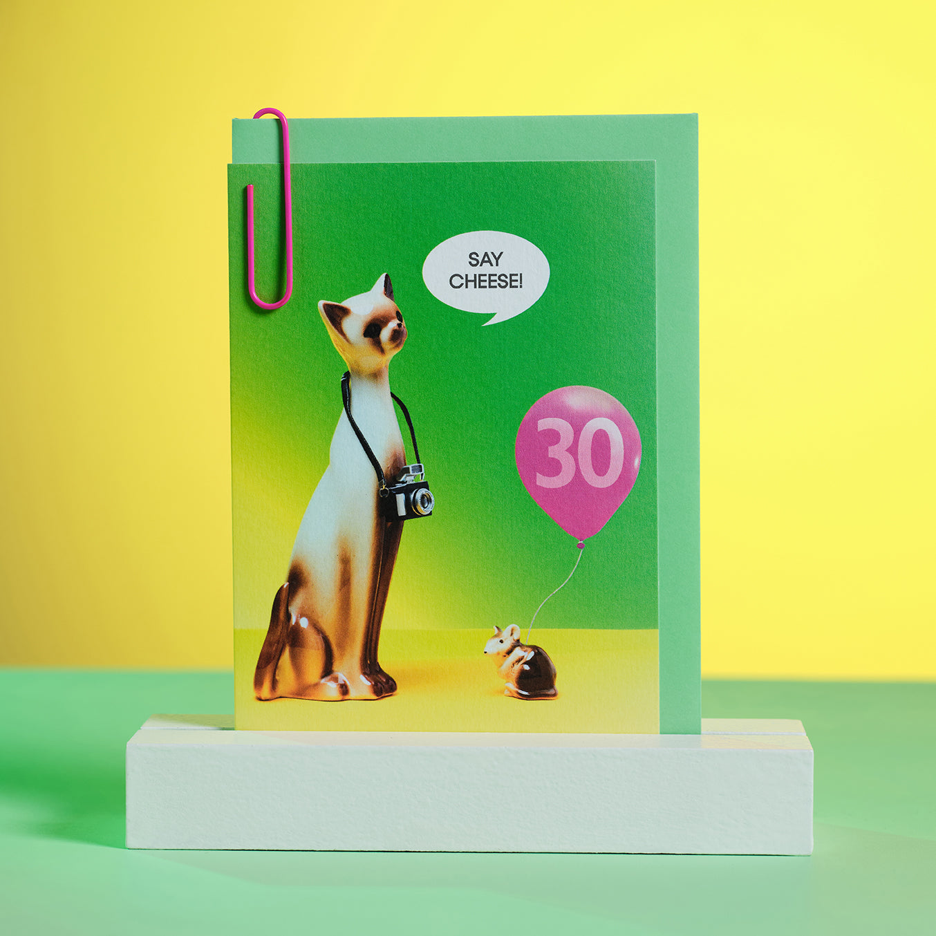 30th Birthday Say Cheese Photographer Cat Greetings Card