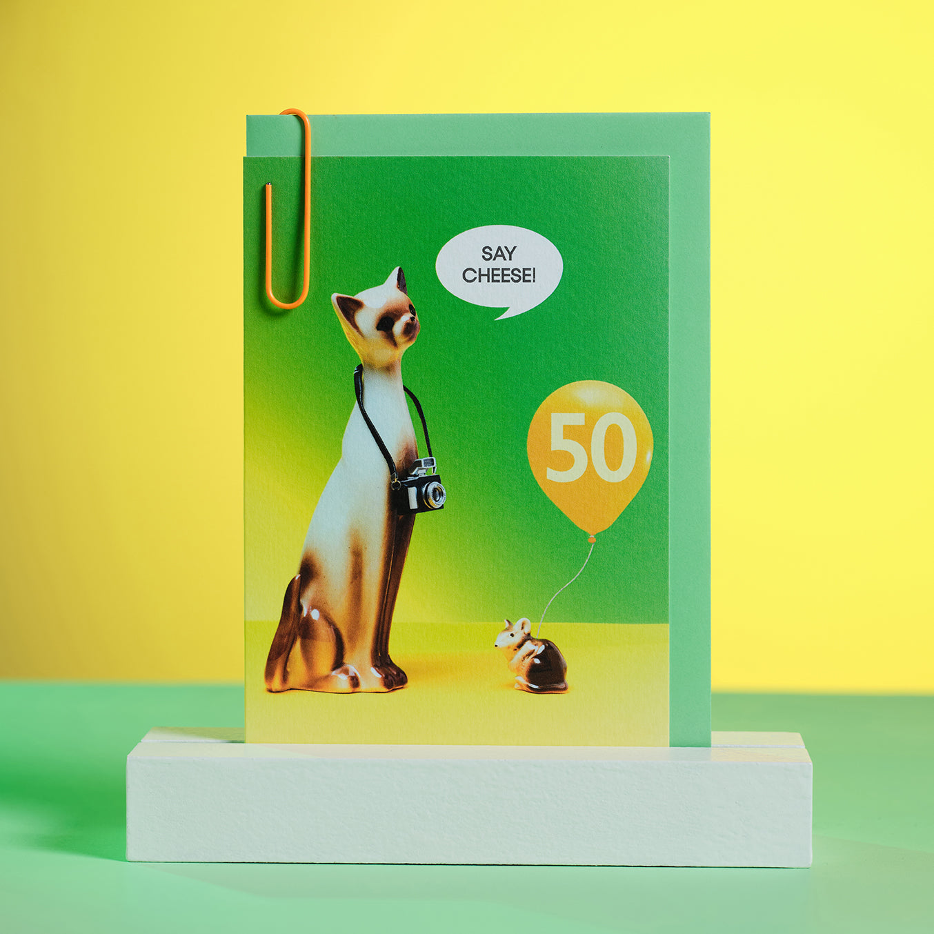 50th Birthday Say Cheese Photographer Cat Greetings Card