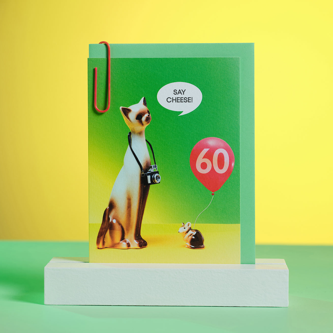 60th Birthday Say Cheese Photographer Cat Greetings Card