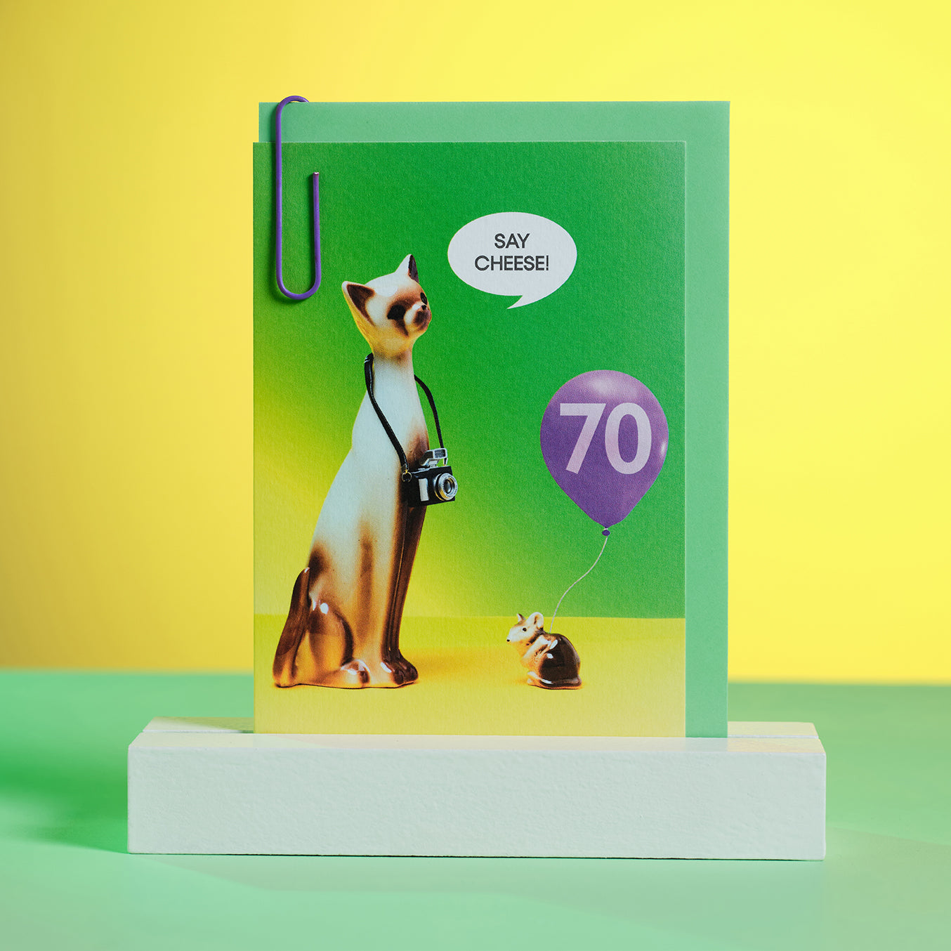 70th Birthday Say Cheese Photographer Cat Greetings Card