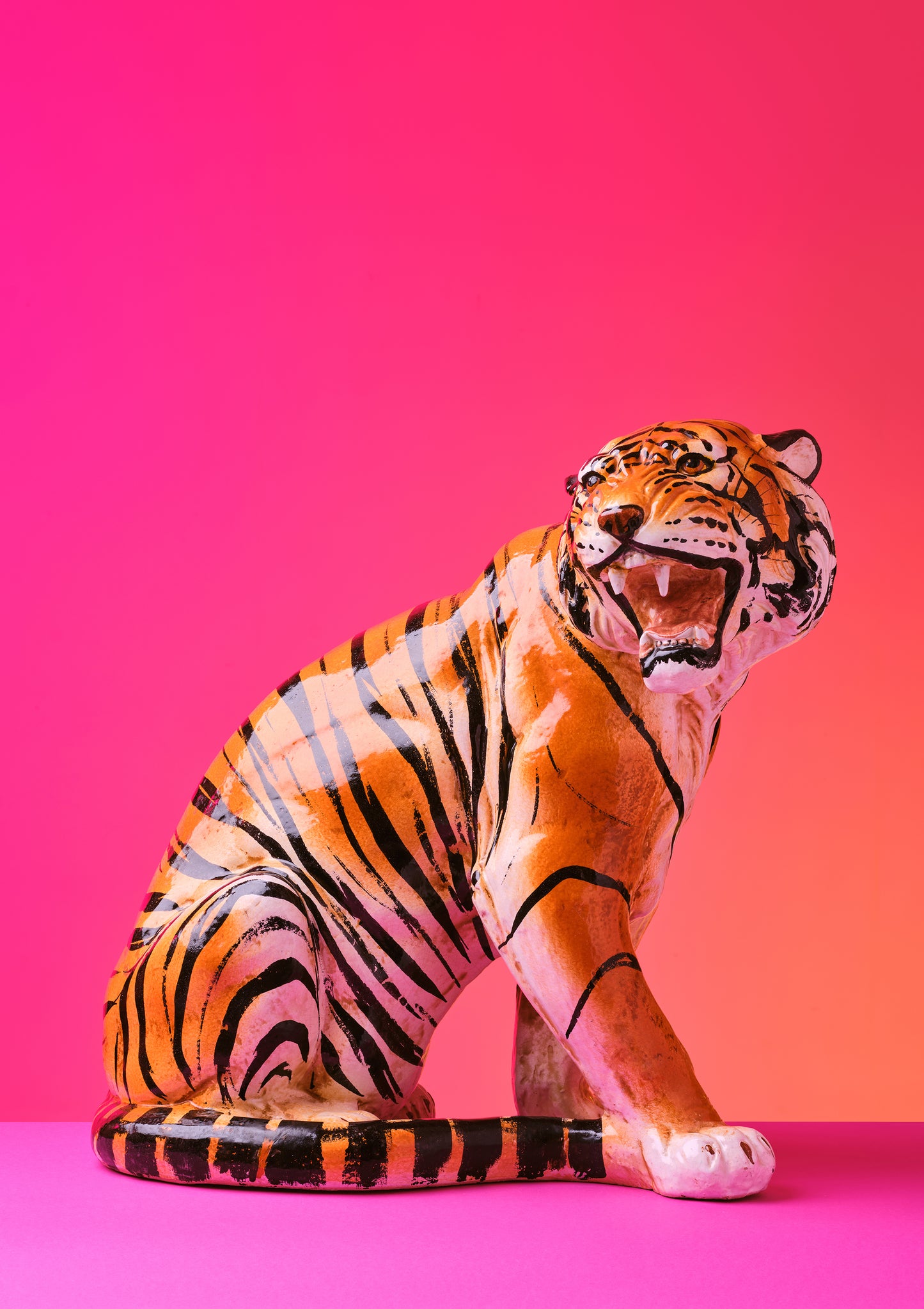 "Seated Tiger, pink clash" giclée photo print