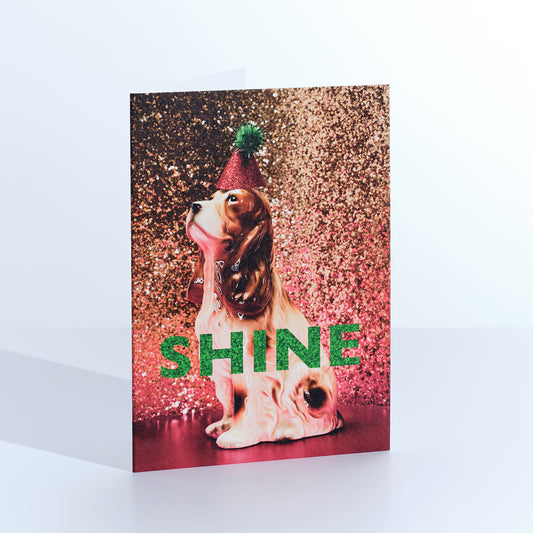 Shine Spaniel Christmas Card