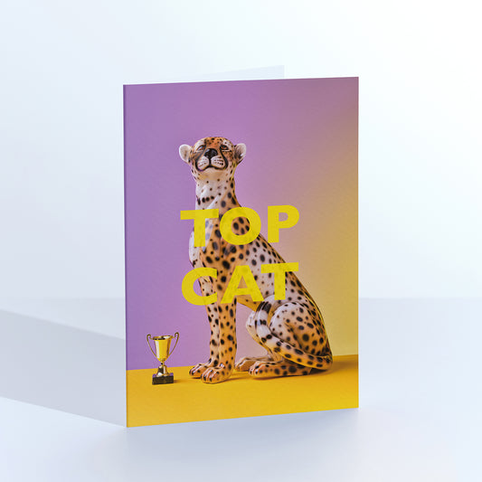 Top Cat Cheetah Congratulations Card