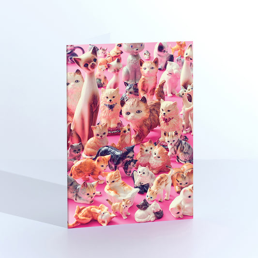 Team Cat Greetings Card