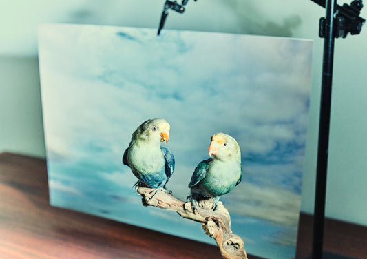 "The Lovebirds" giclée photo print