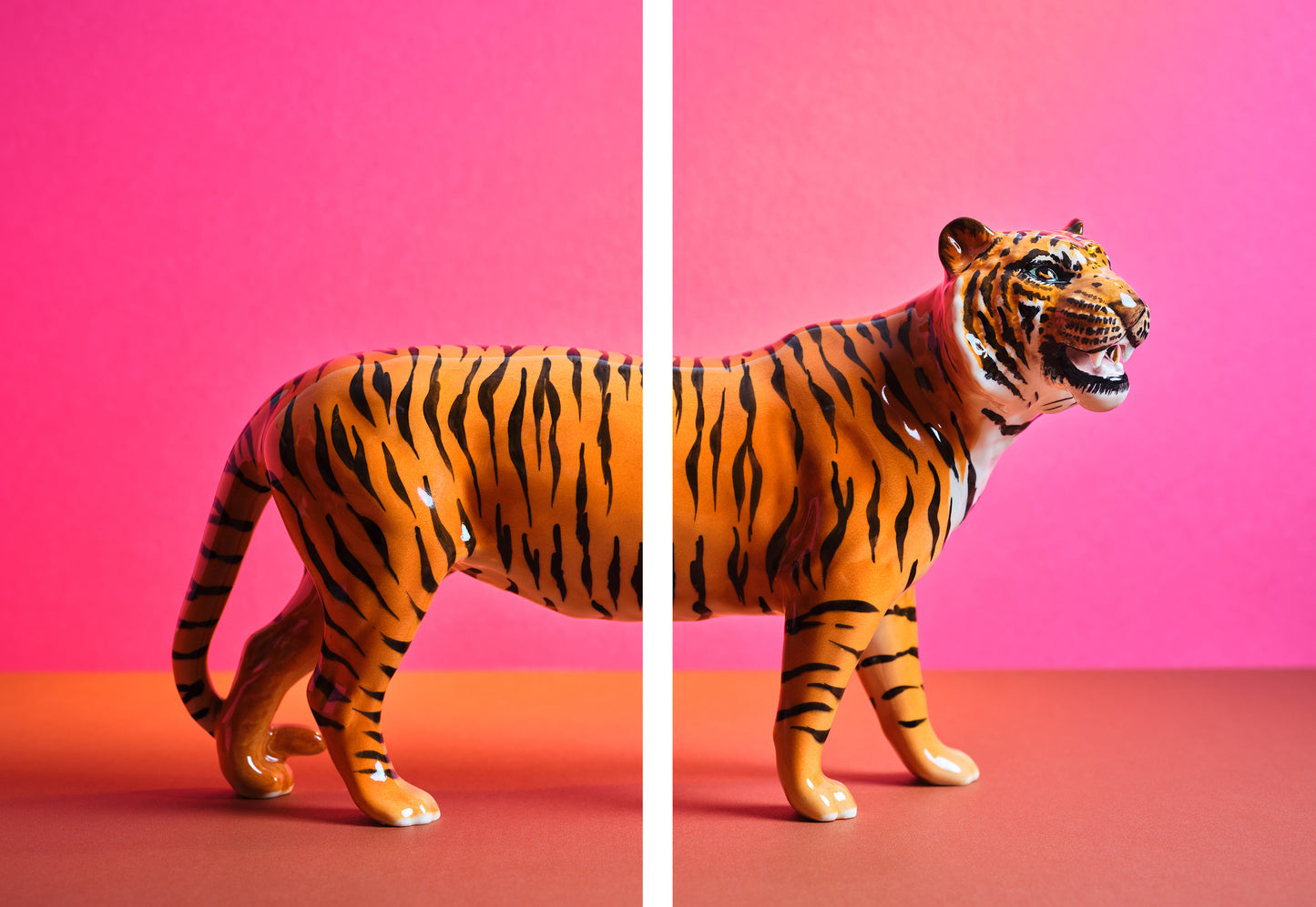 "Tiger split, pink" pair of giclée photo prints