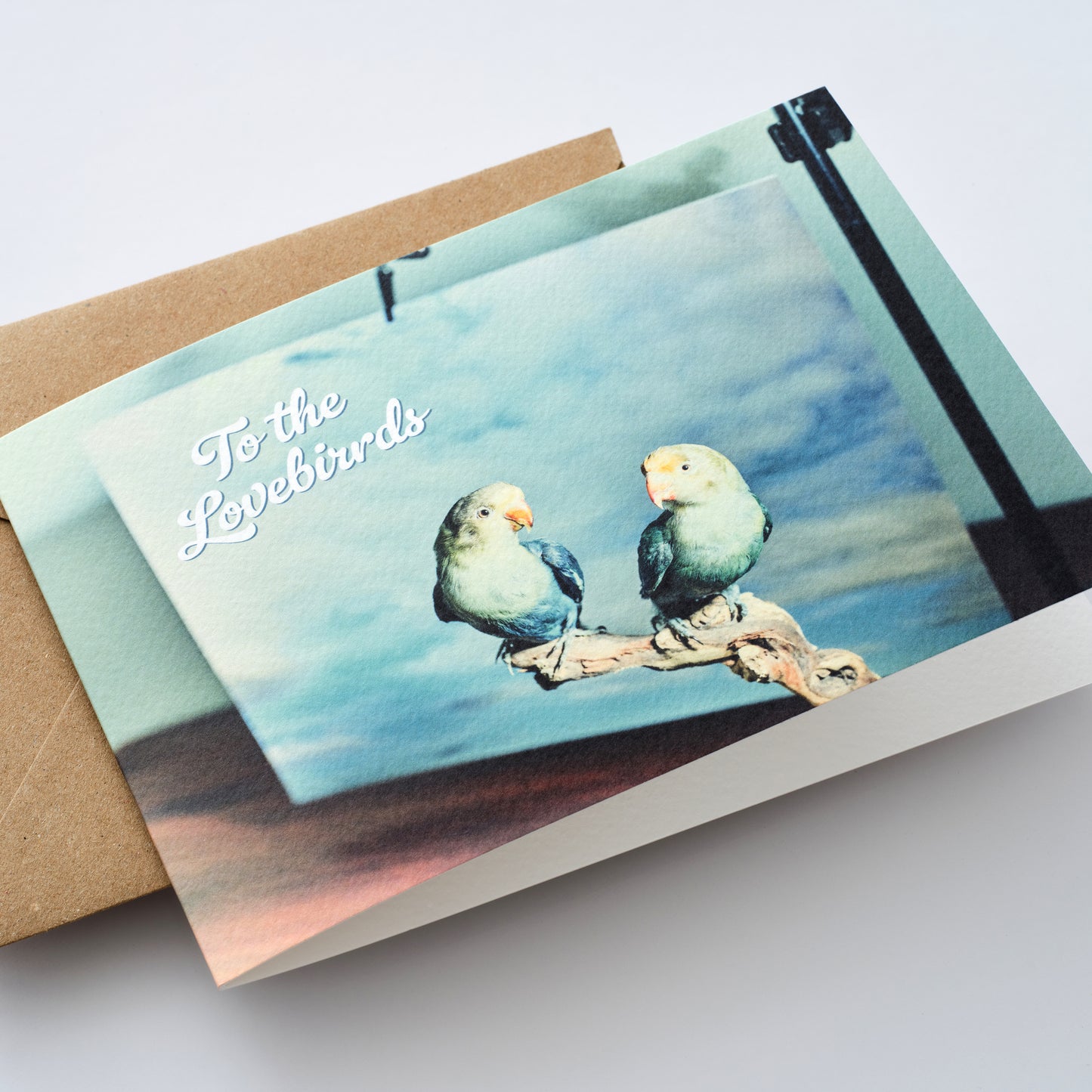 To The Lovebirds Greetings Card