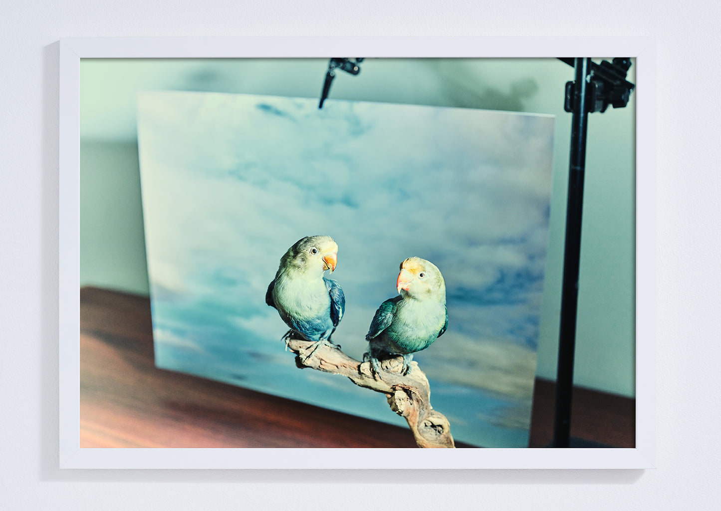 "The Lovebirds" giclée photo print