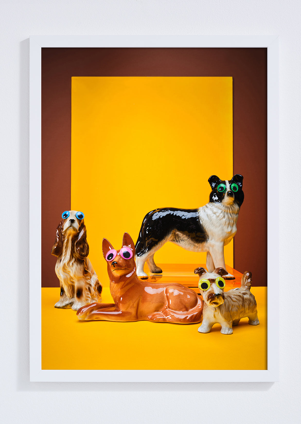 "Goggle eyed dogs, yellow" giclée photo print