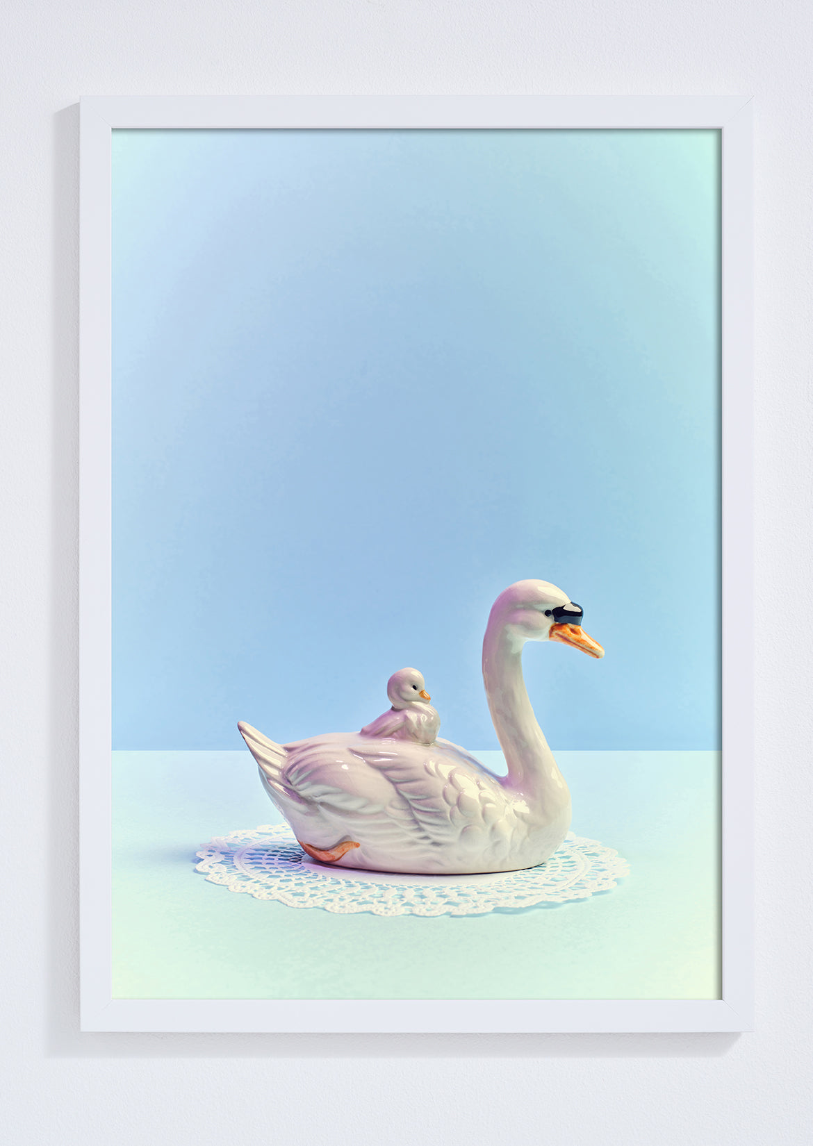 "Baby swan, blue mood" giclée photo print