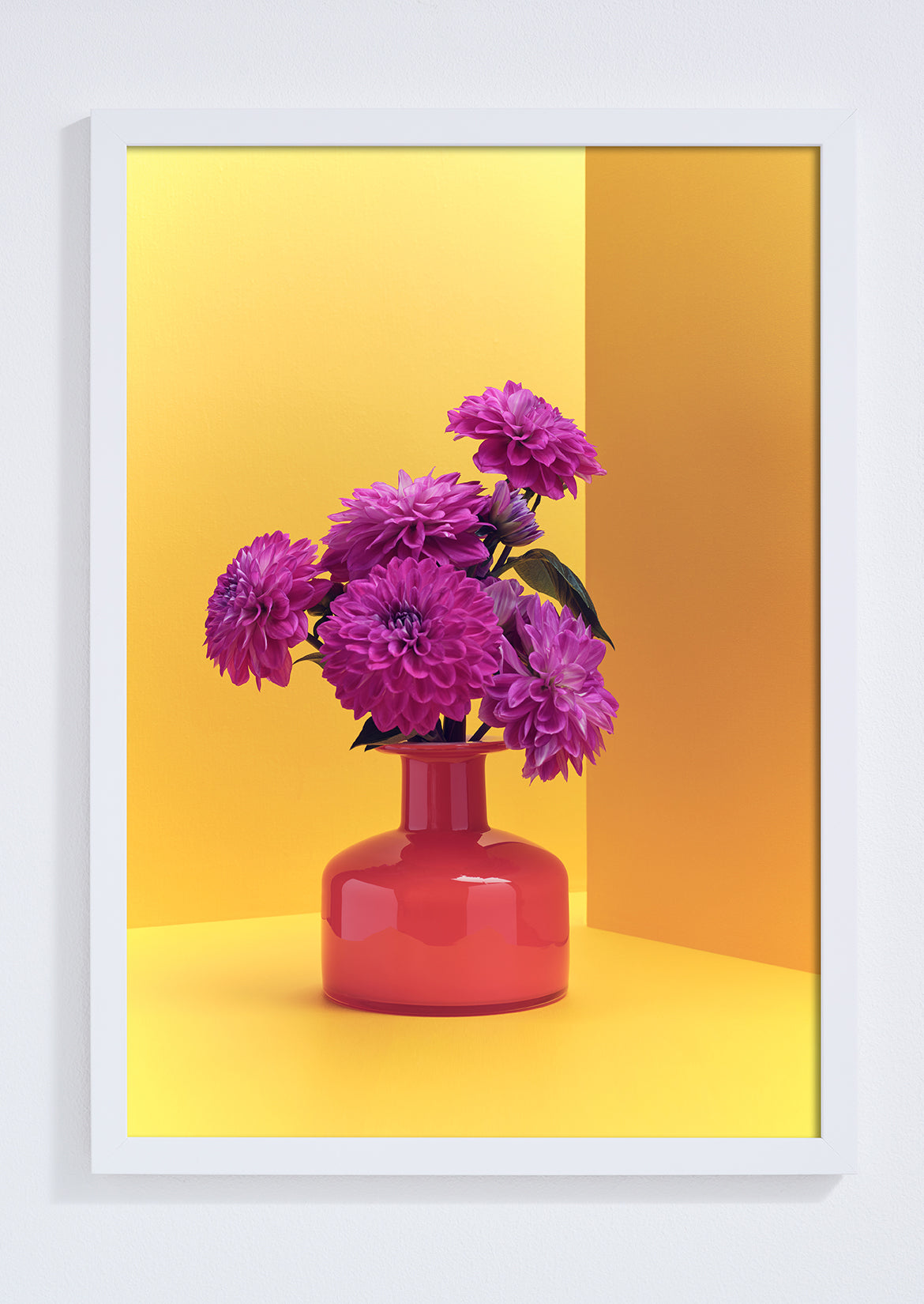 "Clash of the Dahlias, yellow" giclée photo print