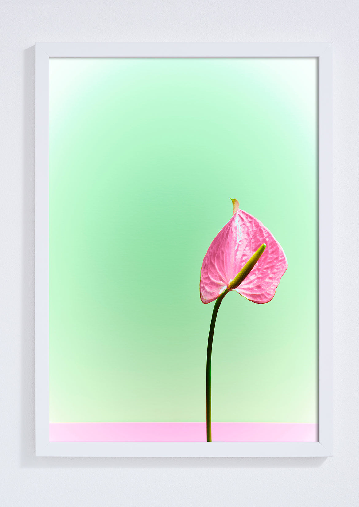 "Signature peace lily" giclée photo print