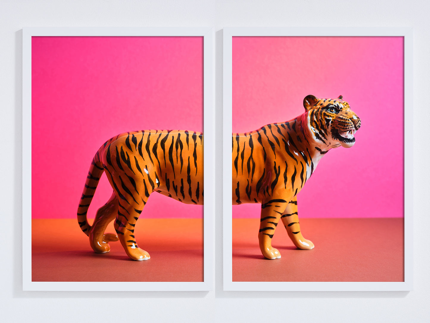 "Tiger split, pink" pair of giclée photo prints